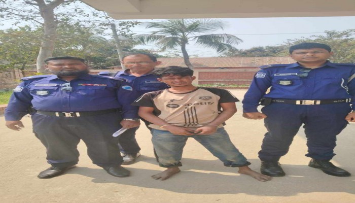 ব্রাহ্মণপাড়ায় মাদকাসক্ত ছেলের অত্যাচারে অতিষ্ঠ বাবা, ভ্রাম্যমাণ আদালতে ৬ মাসের কারাদণ্ড