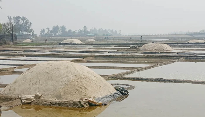 কুতুবদিয়ায় মাঠে লবণের কেজি ৪ টাকা লোকসানে চাষিরা