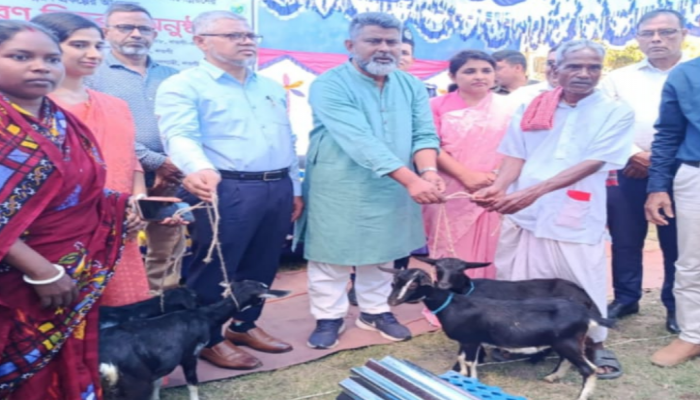 ​বদলগাছীতে ক্ষুদ্র নৃগোষ্ঠী পরিবারের মাঝে ১০০ টি ছাগল ও ম্যাট বিতরণ