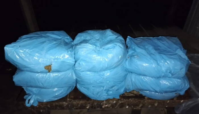 ব্রাহ্মণপাড়ায় যুবদলের অভিযানে ১৭ কেজি গাঁজাসহ দুই মাদক কারবারি আটক