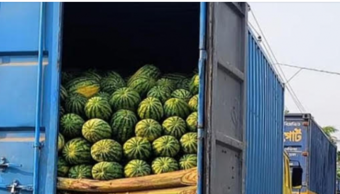 ভোলার ইলিশা ফেরিঘাটে আটকে আছে তরমুজবাহী শতাধিক ট্রাক: পঁচে নষ্ট হচ্ছে তরমুজ,কৃষক ও ব্যবসায়ীর মাথায় হাত!