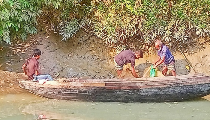 কাউখালীতে প্রশাসনের চোখ ফাঁকি দিয়ে চরগড়া জালের মহোৎসব চলছে