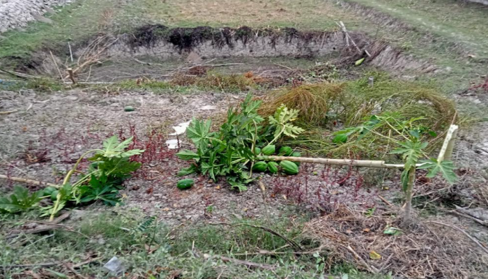 মঠবাড়িয়ায় বায়না চুক্তির জমি নিয়ে বিরোধ, থানায় পাল্টাপাল্টি অভিযোগ