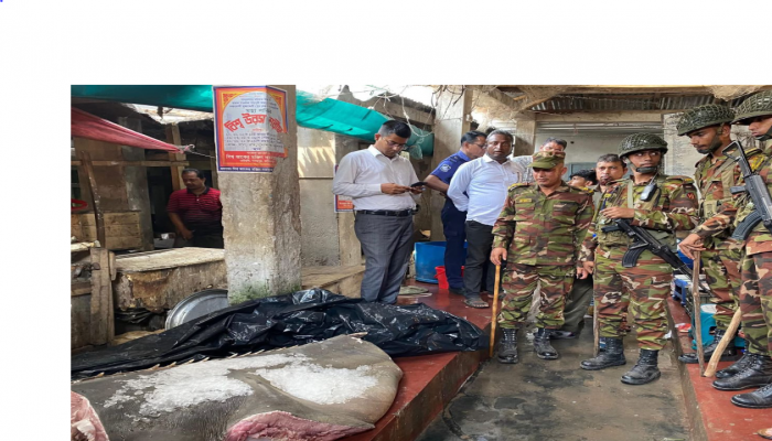 মঠবাড়িয়ায় ২০ মন  ওজনের বিলুপ্ত প্রায় খটক মাছ জব্দ করে প্রশাসনের মাটি চাপা