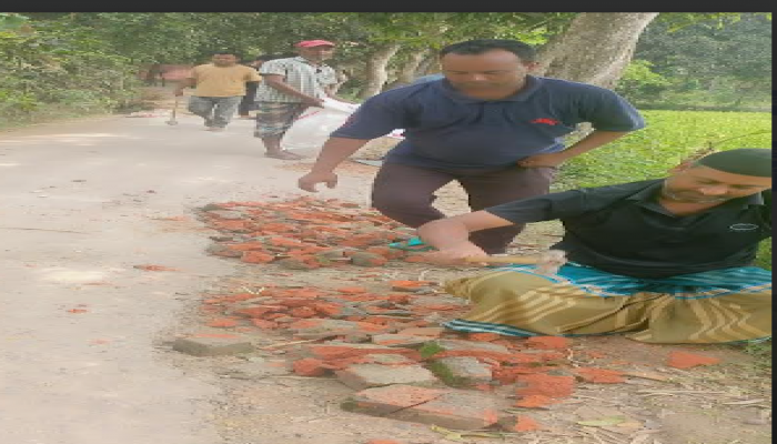 ব্রাহ্মণপাড়ায় স্বেচ্ছাশ্রমে সড়ক সংস্কার, দুর্ভোগ কমাতে এগিয়ে এলেন যুবকেরা