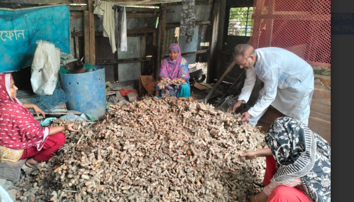 পরিত্যাক্ত জমিতে হলুদ চাষ করে শ্যামলের ভাগ্যবদল