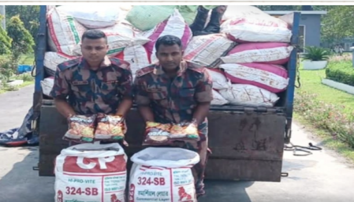 ​মাধবপুরে বিজিবির অভিযানে ৭০ লাখ টাকার ভারতীয় পণ্য জব্দ