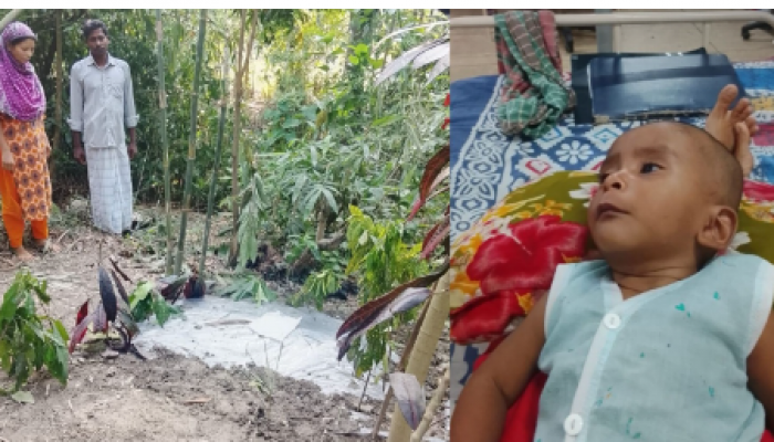 ​অঙ্কুরেই ঝড়ে গেল ফুলের মত শিশু রাকিব : বাবা-মায়ের স্বপ্ন অধরাই রয়ে গেল !