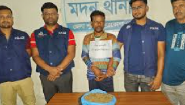 মদনে গাঁজাসহ মাদক কারবারি গ্রেপ্তার