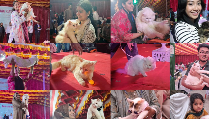 বাকৃবিতে প্রথম বারের মতো ক্যাট শো অনুষ্ঠিত