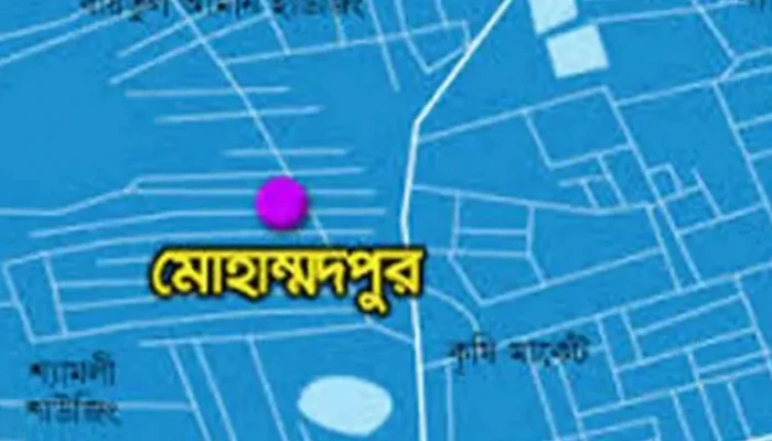মোহাম্মদপুরে যুবককে কুপিয়ে হত্যা