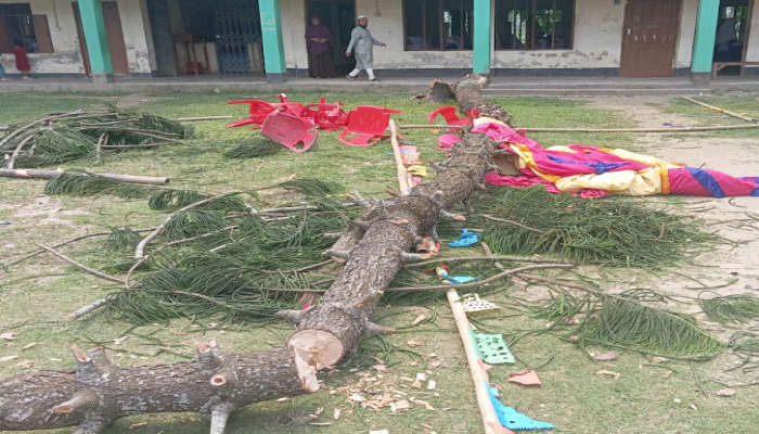 ​বুড়িচংয়ে এসএসসি পরীক্ষার্থীদের বিদায় অনুষ্ঠানে গাছ উপড়ে ৩ শিক্ষার্থী আহত