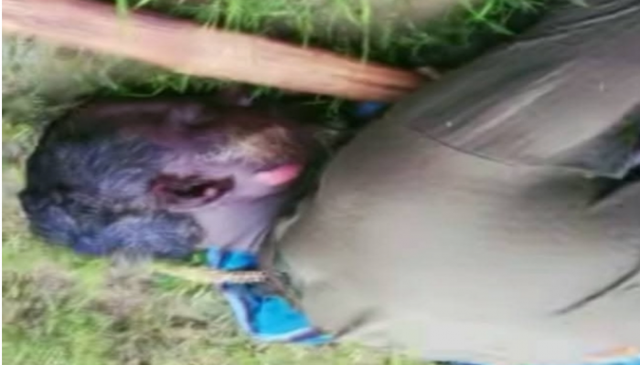 ​নবীগঞ্জে পীরের ছেলে বজ্রপাতে নি/হত।