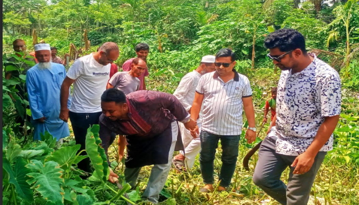 কাউখালীতে মশাবাহিত রোগ প্রতিরোধে সম্মিলিত পরিচ্ছন্নতা অভিযান