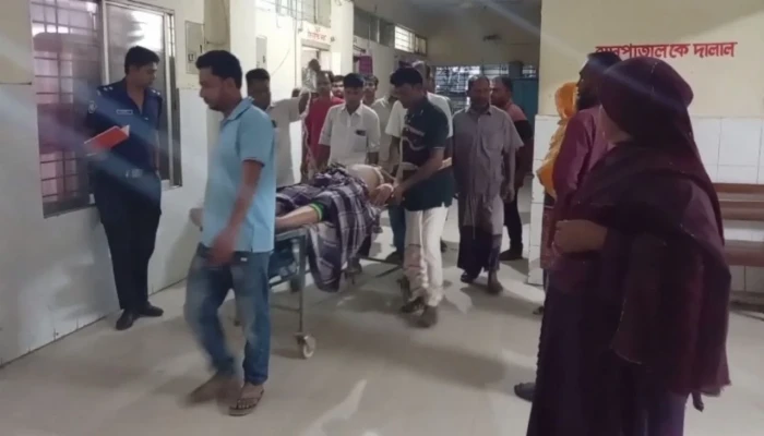 মেহেরপুরে বিএনপি নেতাকে গুলি করে হত্যার চেষ্টা