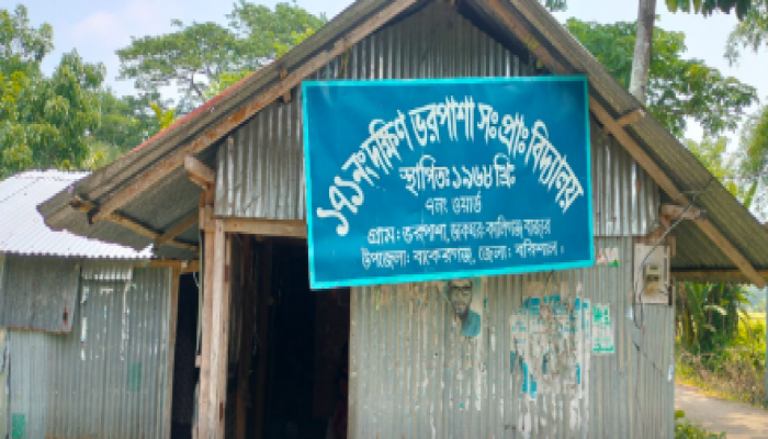 ​শিক্ষার্থীশূন্য বিদ্যালয়: ৫ শিক্ষিকার বিপরীতে ছাত্র মাত্র ৪ জন, চরম সংকটে দক্ষিণ ভরপাশা সরকারি প্রাথমিক বিদ্যালয়