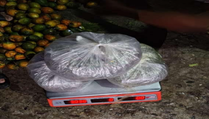 কুড়িগ্রামের ভূরুঙ্গামারীতে সুপারি বস্তায় লুকানো গাঁজা উদ্ধার, নারী মাদক ব্যবসায়ী আটক