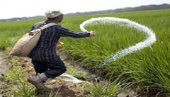 কৃষকের সংকটময় জীবন; চোখের পানি দেখার নেই কেউ