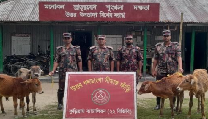 কুড়িগ্রামে বিজিবির বিশেষ অভিযানে ১৩ লাখ টাকার অবৈধ পণ্য আটক