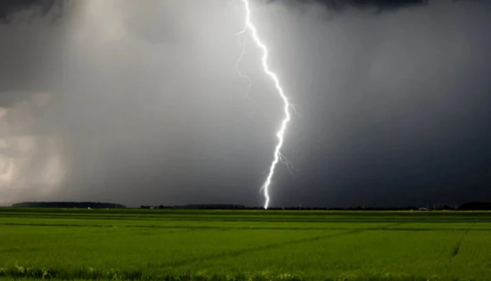 সুনামগঞ্জে বজ্রপাতে ৩ জনের মৃত্যু