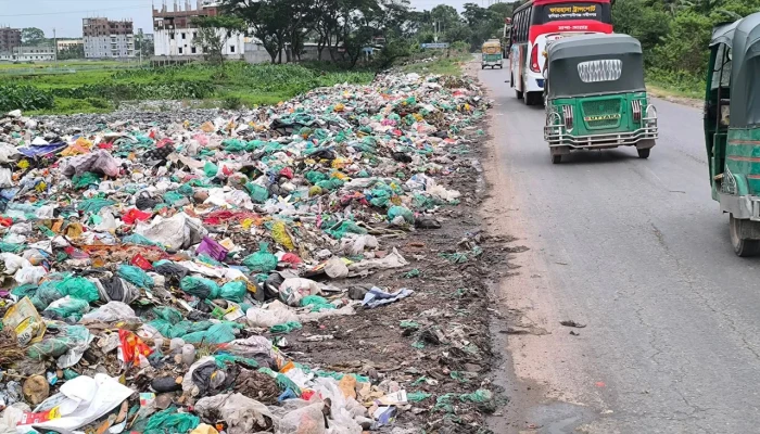 দেবিদ্বারে মহাসড়কের পাশে ময়লার ভাগাড়