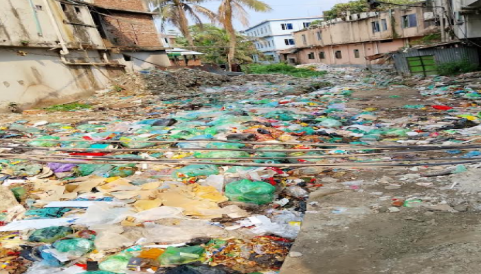 হাসপাতালের পাশেই ময়লার ভাগাড়, ভোগান্তিতে রোগী ও পথচারীরা