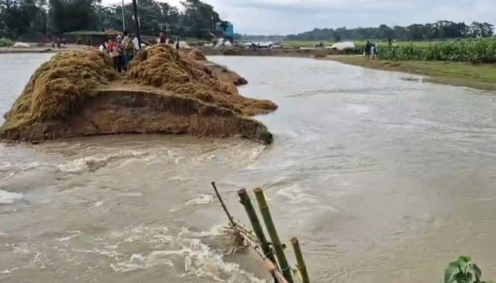 ভারতের পাহাড়ি ঢলে বাঁধ ভেঙে তলিয়ে যাচ্ছে কয়েকশ হেক্টর বোরো জমি