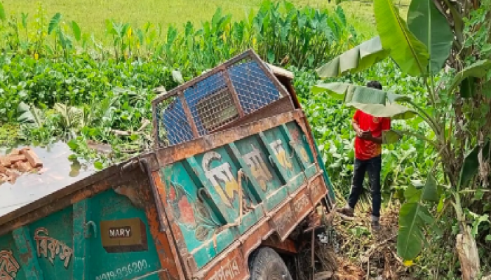 বৈরী আবহাওয়া বোরো ধান কাটা ও মাড়াইয়ে বিপাকে ব্রাহ্মণপাড়ার কৃষক