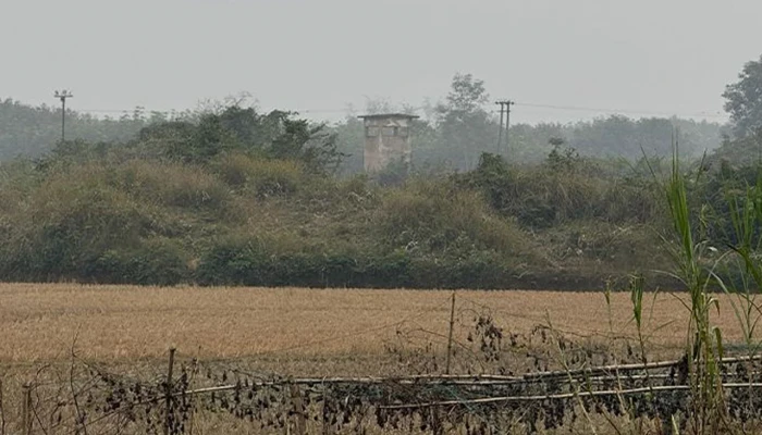 ফুলগাজীর ভারত সীমান্তে অজ্ঞাত ব্যক্তির লাশ উদ্ধার