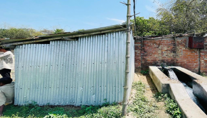 আ.লীগ নেতার কাণ্ড তানোরে জমি ও সেচপাম্প দখলে নিতে দুই ভুয়া দলিল তৈরির অভিযোগ