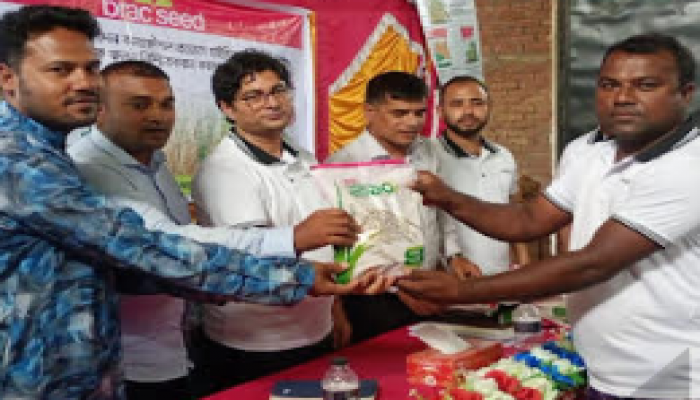 ফুলবাড়ীতে কৃষকদের মাঝে উন্নতজাতের ধানের বীজ বিতরণ