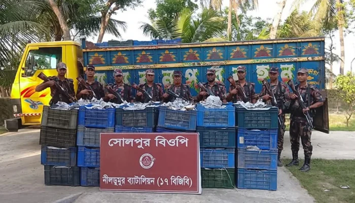 নীলডুমুর সীমান্তে ১৫ দিনে ৩১ লাখ টাকার মাদক জব্দ