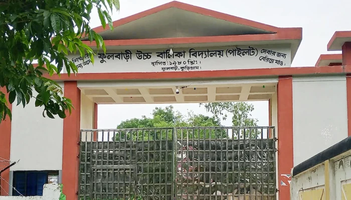 ছাগল বাঁচাতে আটোরিকশা উল্টে আহত ৬ এসএসসি পরীক্ষার্থী