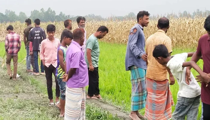 চিরিরবন্দরে জমি নিয়ে বিরোধের জেরে বাবা ও ভাইকে হত্যা