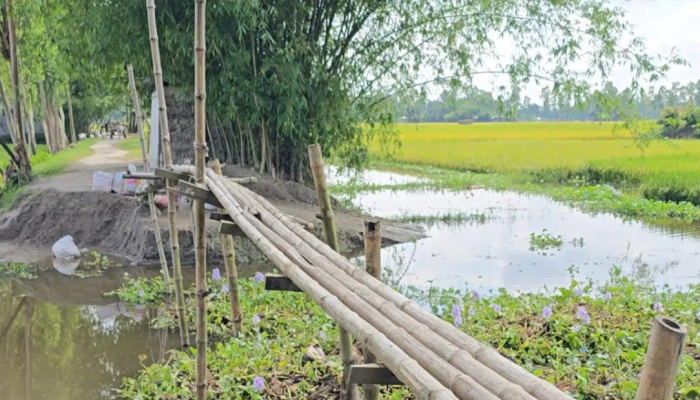 কুড়িগ্রামে ১৯ লাখ টাকার কালভার্টের কাজ বন্ধ ১ বছর, ঠিকাদার উধাও
