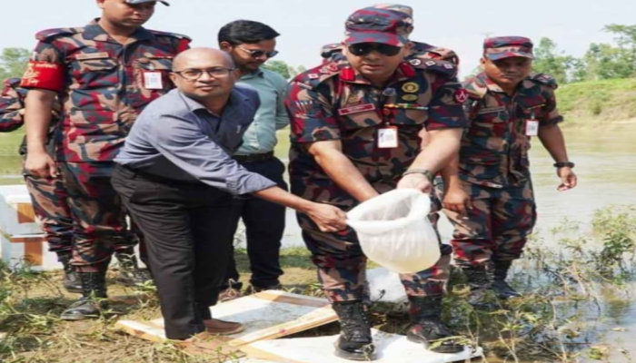 ​‎হবিগঞ্জে বিজিবির অভিযানে ২ কোটি টাকার অবৈধ গলদা চিংড়ির রেনু পোনা জব্দ