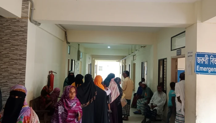 শিবচরে বিদ্যুৎস্পৃষ্টে গৃহবধূর মৃত্যু