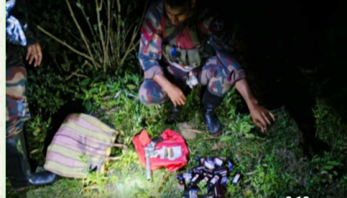 কুষ্টিয়ার সীমান্ত এলাকায় অভিযানে দেশীয় অস্ত্র, কার্তুজ ও ভারতীয় মাদকদ্রব্য উদ্ধার করল বিজিবি