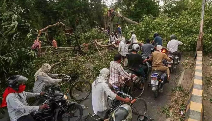 ভারতে প্রবল ঝড়ে নিহত বেড়ে ৯০, বিমান চলাচল ব্যাহত