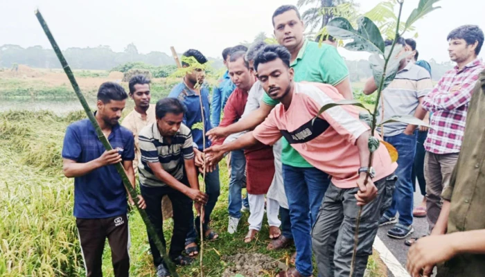 পাকুন্দিয়ায় ছাত্রদলের উদ্যোগে ৪০০ বৃক্ষরোপণ