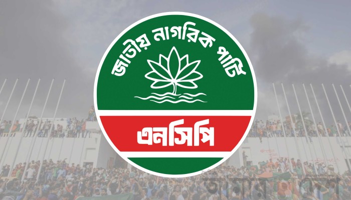মিরপুরে শাহ আলী মাজারে হামলার ঘটনায় এনসিপির উদ্বেগ ও নিন্দা