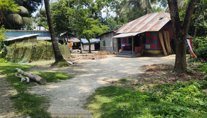 বাবুগঞ্জে ইউপি সদস্যের বিরুদ্ধে জমি দখলের অভিযোগ