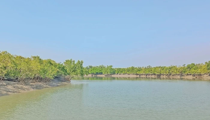 অপহরণ-মুক্তিপণের জালে হাজারো পরিবার