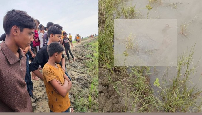 সরাইলে সড়কের পাশ থেকে লাশ উদ্ধার