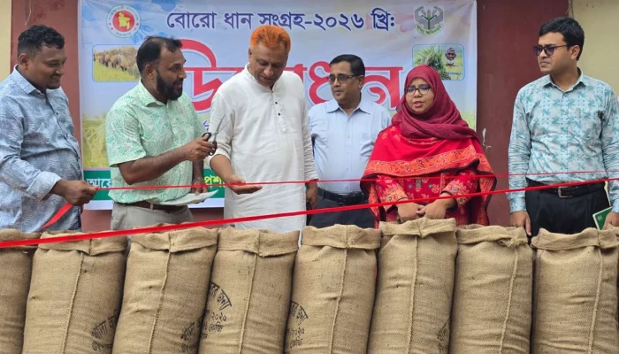 উখিয়ায় বোরো ধান সংগ্রহের লক্ষ্যমাত্রা ৬০৫ মেট্রিক টন