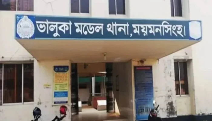 ভালুকায় পিকআপসহ তিন গরু ছিনতাই