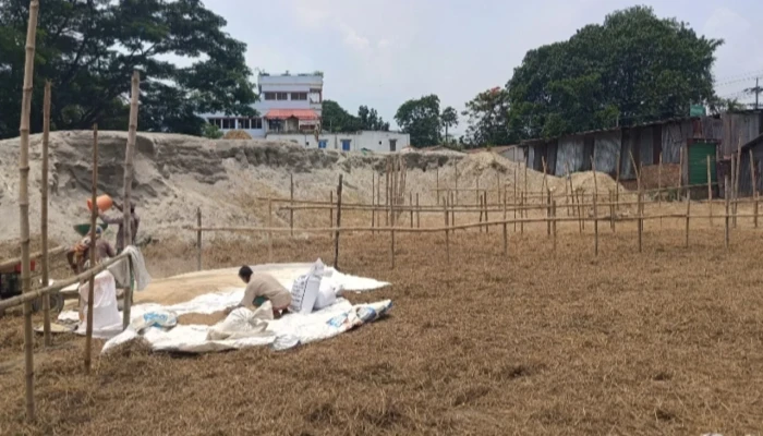ক্রেতা ও বিক্রেতা শূন্য ভোলাচং পশুর হাট