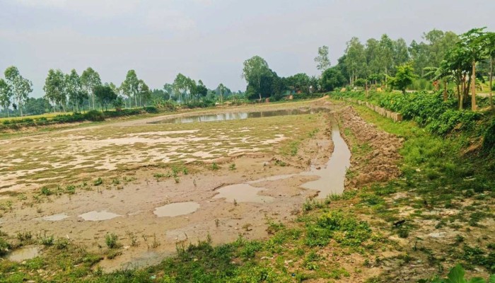 রায়গঞ্জে তিন ফসলি জমি থেকে মাটি কাটার অভিযোগ