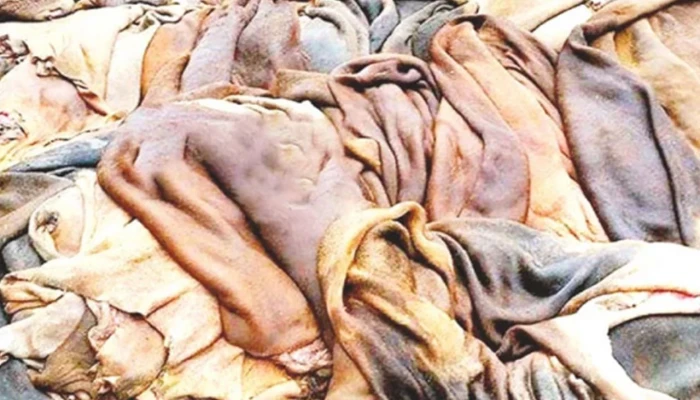 কোরবানির চামড়াশিল্পে সিন্ডিকেটের থাবা