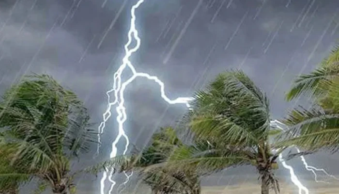 নওগাঁয় বজ্রপাতে দুই কৃষকের মৃত্যু
